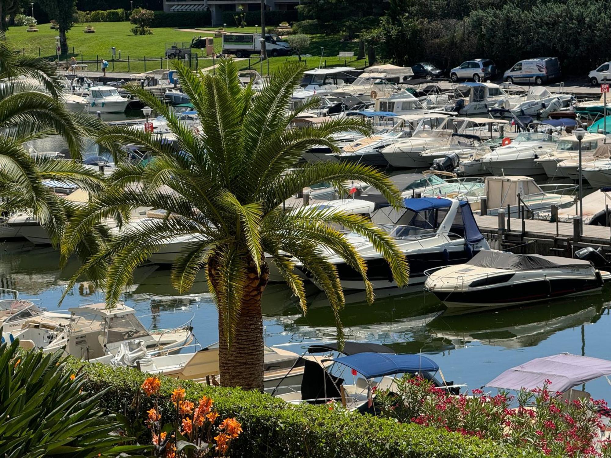 My Resid Appart Cannes Marina Vue Piscine 망들리유 라 나플 외부 사진